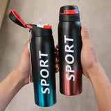 Stainless Steel Double Wall Vacuum Flask | 500 ml Sports Water Bottle | With Straw | Insulated